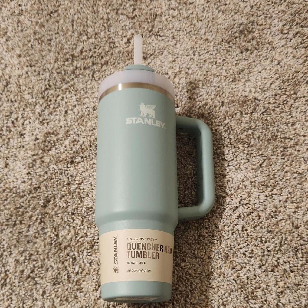 Stanley Quencher H2.0 Tumbler - Mint Green